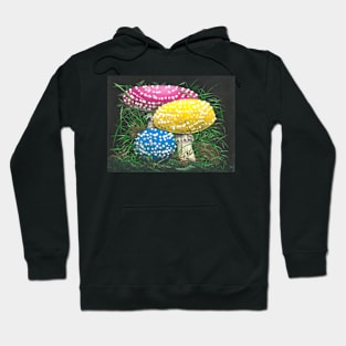 Pan Shrooms 2022 Hoodie